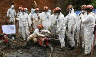 321东航坠机事件