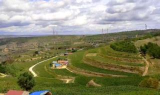 我的楼兰云朵原唱