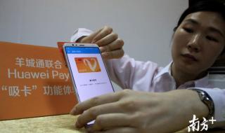 羊城通学生卡申请表