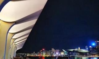 维多利亚港夜景