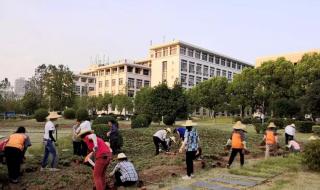 武汉职业技术学院