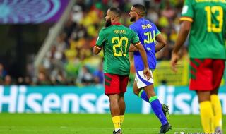 世界杯各大洲参赛球队